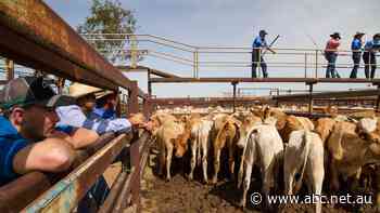 The buy now, pay later industry moves in to target farmers