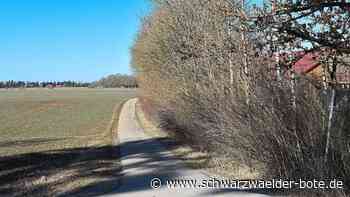Idee für Geislinger Häsenbühl - Römerpark erlaubt Blick in die Geschichte - Schwarzwälder Bote