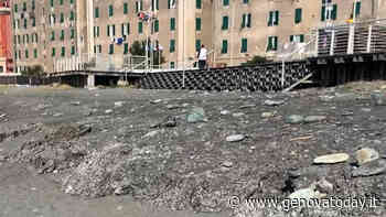 Voltri, Arciragazzi: "Non apriremo la Spiaggia dei Bambini se il litorale non sarà pronto" - GenovaToday