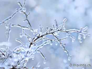 Special Weather Statement issued from Belleville to Cobourg - inquinte.ca