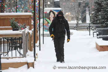 Snowfall warning for Red Deer and Central Alberta - Lacombe Express