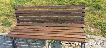 SETTIMO TORINESE. Volontari e disabili rimettono in sesto i giardini - Giornale La Voce