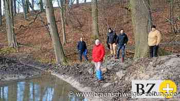 Im Destedter Talteich gibt es schon Froschlaich