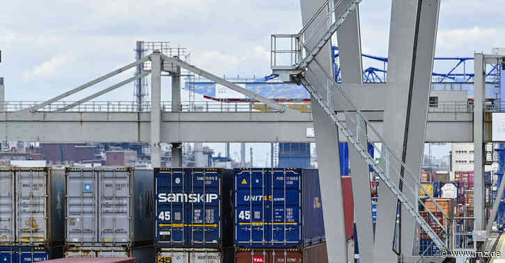 Wirtschafts-Zuwachs:  Mannheimer Hafen trotzt Trend