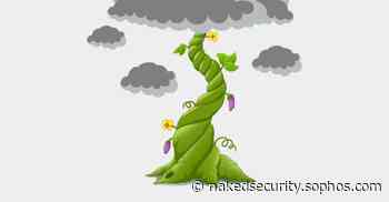 Beanstalk cryptocurrency heist: scammer votes himself all the money