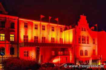 Die Zukunft des Neuberinhauses Reichenbach: Warum Kulturchefin Silke Fischer dazu schwieg - freiepresse.de