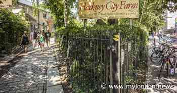 School at Hackney City Farm slammed for 'illegal exclusions' in latest Ofsted report - My London