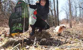 Markham's new $100M waste contract builds on city's sustainability, but 'trashy neighbours' need to clean up their act - yorkregion.com