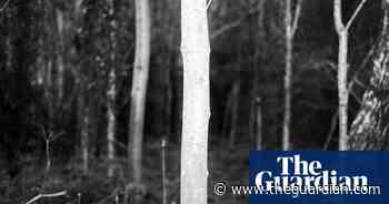 Horse cults and explosives! Images inspired by islands – in pictures