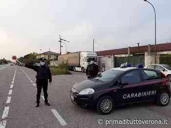 San Giovanni Lupatoto, ondata di furti in garage e su auto: ladro seriale arrestato - Prima Verona