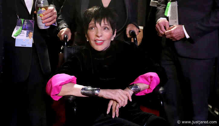 Liza Minnelli's Friend Michael Feinstein Says She Was 'Sabotaged' at the Oscars