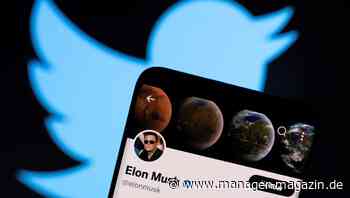 Elon Musk: Twitter-Vorstand soll nach Übernahme kein Gehalt mehr erhalten