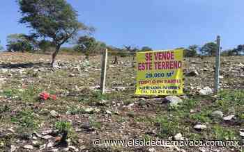 Delincuencia organizada despoja de terrenos a morelenses - El Sol de Cuernavaca