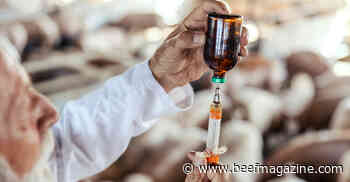 Consumers’ role in understanding of animal antibiotics is key