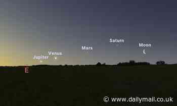 Treat in store for stargazers as four planets will align in dazzling sky parade this week
