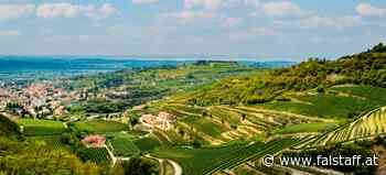 Amarone &amp; Recioto: Die Trophy-Sieger 2022