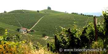 “Super, i Colli”: un evento per promuovere gli itinerari tra Acqui Terme e Strevi - Telecity News 24