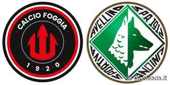 Serie C, Foggia-Avellino: dirige Panettella di Gallarate ⋆ lagoleada.it - lagoleada.it