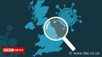 Covid-19 in the UK: How many coronavirus cases are there in my area?