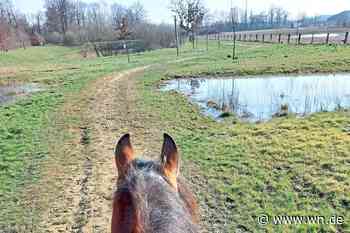 Reiten in Natur nur mit gültiger Plakette