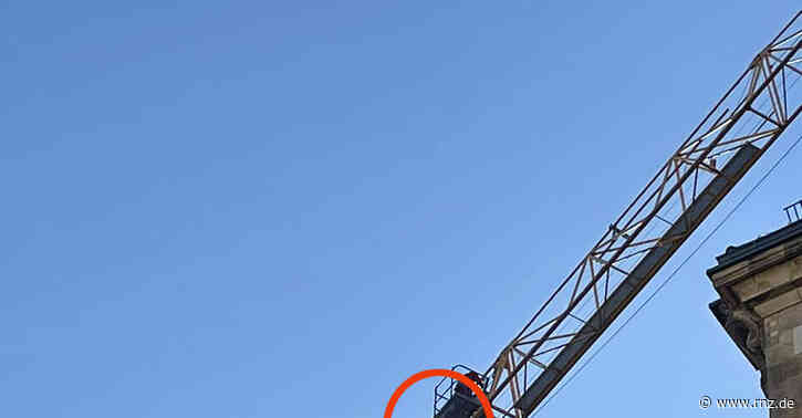 Mannheim:  Feuerwehr rettet Möwe von Baukran (plus Fotogalerie)