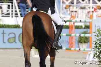 Wout Loenders wint met Pompidou hoofdrubriek van Genk - Equnews