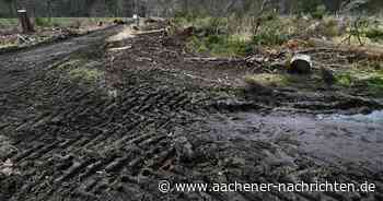 Forstamtschef Gerd Krämer: Die Belastung für den Aachener Stadtwald darf nicht zu groß werden