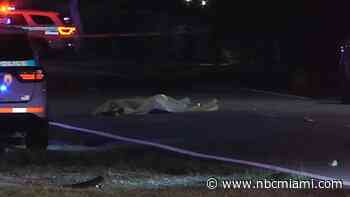 Motorcyclist Killed After Crash in SW Miami-Dade: Police