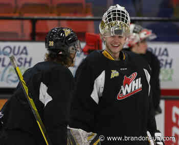 Playoff experience hard to find for Wheat Kings - The Brandon Sun