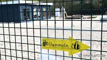 Zuwachs für die „Hummel“-Gruppe: Fahrdorf: Kita „Schleiwind“ soll weitere Naturgruppe erhalten | shz.de - shz.de