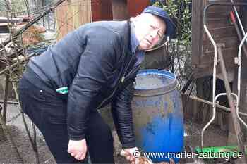 Marl: 20 getötete Hühner in Kleingarten: Behörden nennen die Ursache - Marler Zeitung