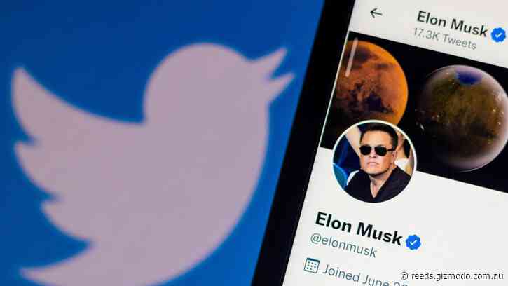 Republicans Are Gung Ho for Musk’s Version of Twitter in New Poll