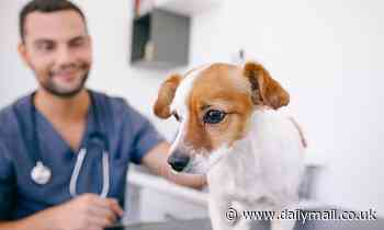 Dogs' average heart rate DOUBLES between the waiting room and the examination table at the vet