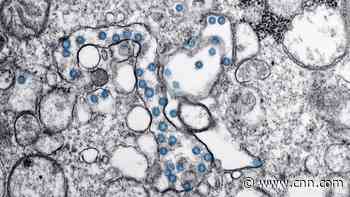 Pivotal moment in America's battle against the coronavirus - CNN