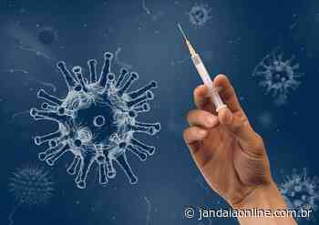 Jandaia do Sul segue vacinando contra covid-19. Saiba quem recebe dose de reforço nesta terça - Jandaia Online