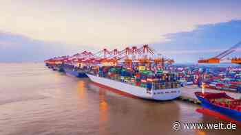 Der größte Hafen der Welt ist überfordert – die Folgen des Shanghai-Staus