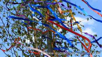 Verliebte aufgepasst: Stadt Neu-Ulm verkauft Birken zum Maibaumstellen