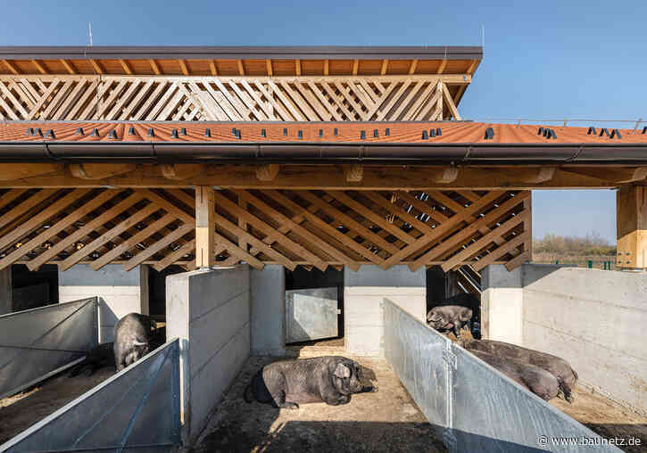 Ordnung im Saustall
 - Schweinefarm in Kroatien von SKROZ architecture