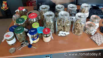 Nasconde in casa mezzo chilo di marijuana e una serra in giardino