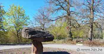Stedelijke begraafplaats Hogerlucht drie dagen dicht wegens werkzaamheden - Het Laatste Nieuws