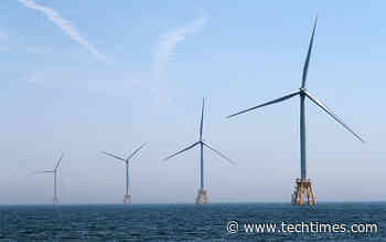 Offshore Wind Turbine Farm In Rhode Island Hasn't Harmed The Local Fish Population: Study - Tech Times