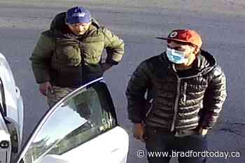 Suspects sought following vehicle thefts in New Tecumseth area (4 photos) - BradfordToday