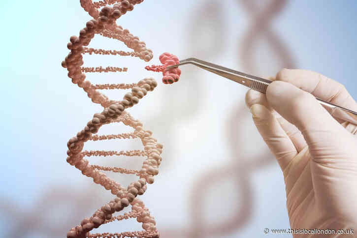 How does genetic engineering work? Loukya Sujeevan, GGSK College