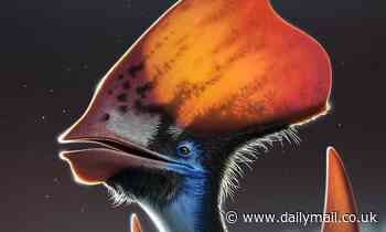Pterosaurs could change the colour of their FEATHERS to attract mates or keep cool