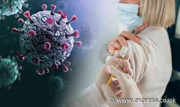 Coronavirus: Updated Moderna vaccine is more effective against Omicron - Express