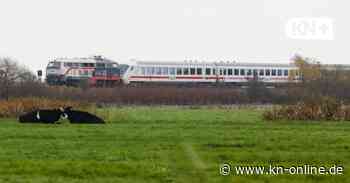 Marschbahnstrecke zwischen Hamburg und Sylt: Wieder Einschränkungen wegen Bauarbeiten
