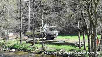 Strom in Schiltach - Ausgedienter Mast in Hinterlehengericht wird ersetzt - Schwarzwälder Bote
