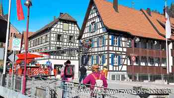 Notfall in Schiltach - Feuerwehr rückt aus – Patient mit Drehleiter transportiert - Schwarzwälder Bote