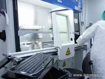 Idrocefalo, scoperta la causa dell'"acqua nel cervello"