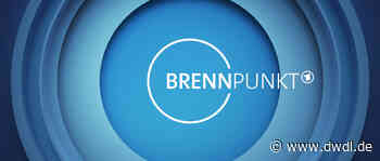 ARD und ZDF senden wieder News-Specials zum Krieg in der Ukraine - DWDL.de